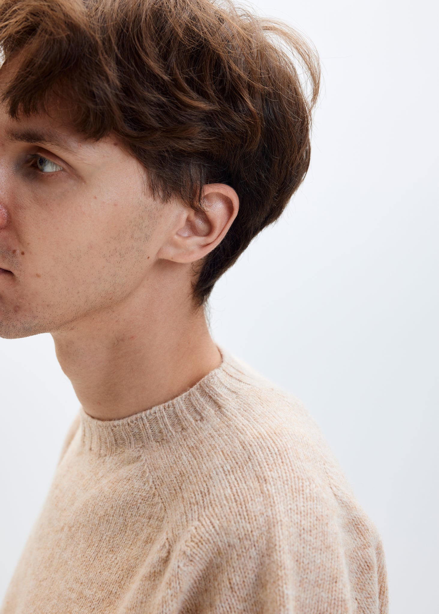 Tricot col rond en laine shetland sable